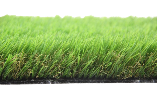 Leisure grass
