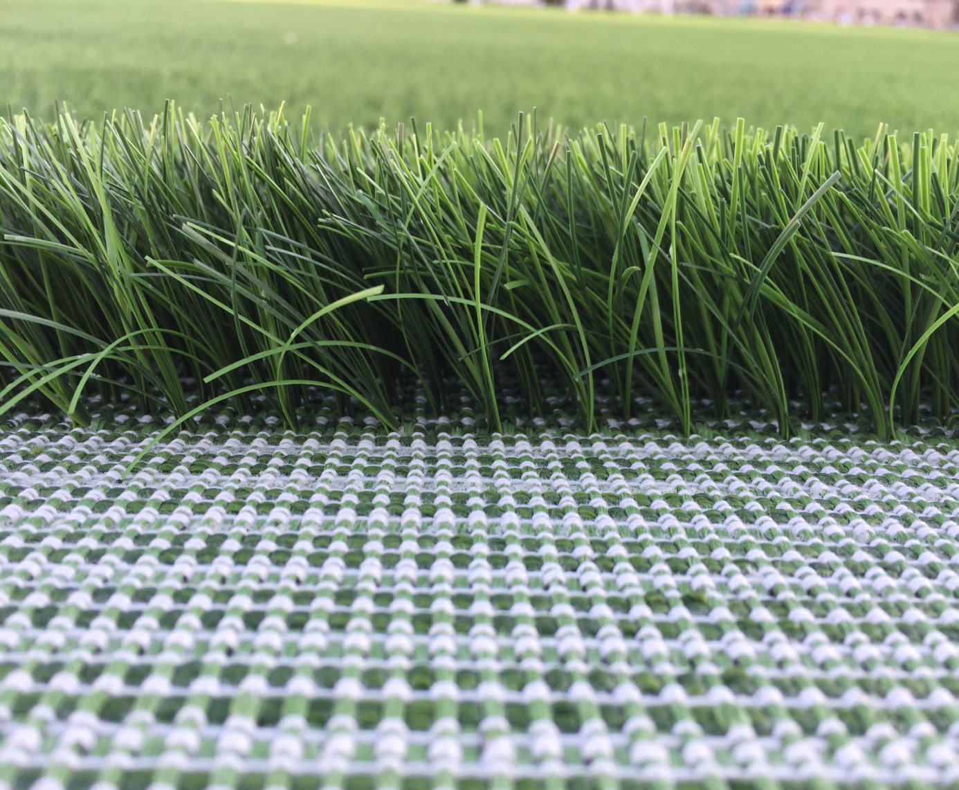 Football Grass GAF-005