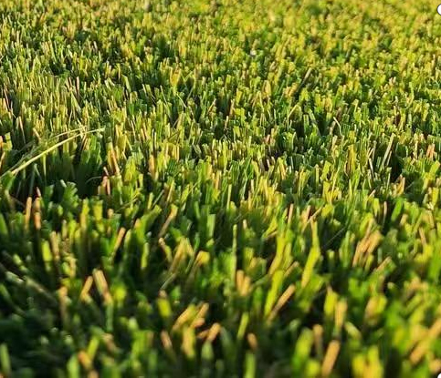 Leisure grass GDL-001