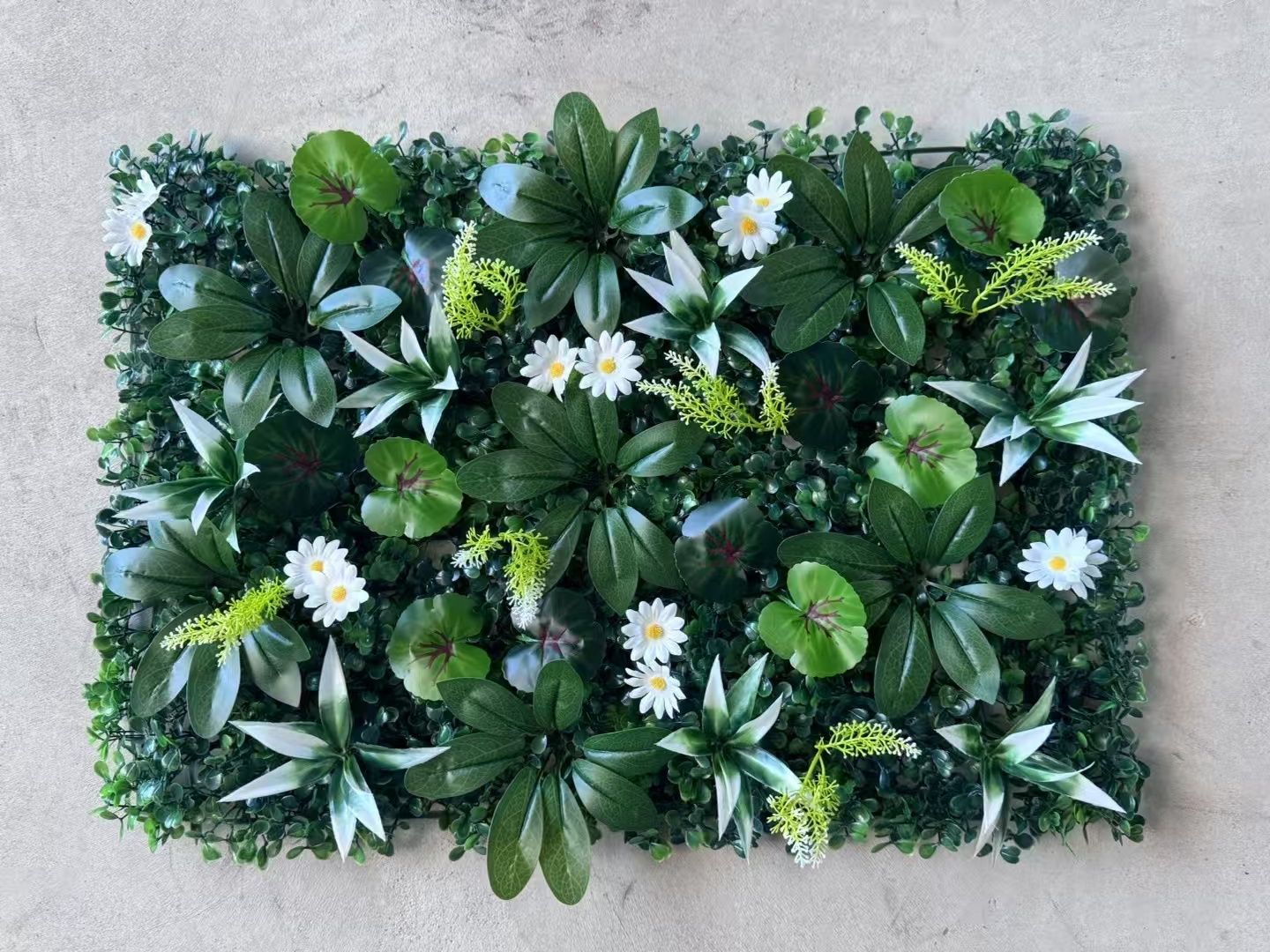 Various flower types GWX068