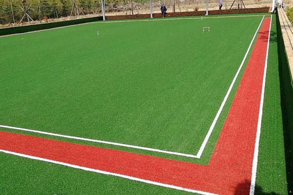 Croquet court