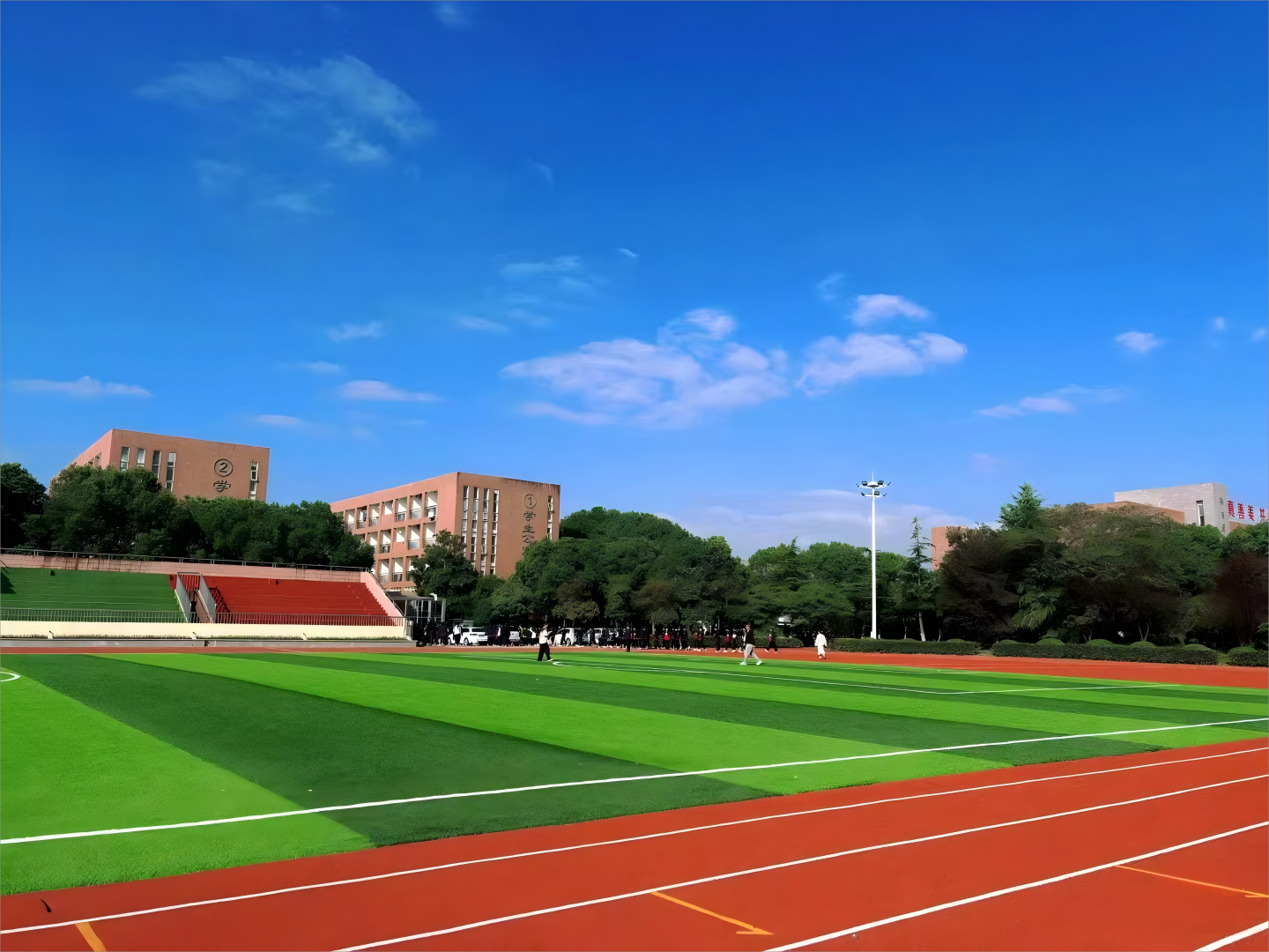 Artificial grass display.png