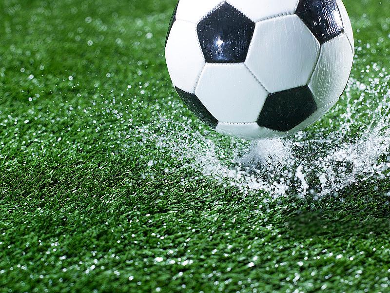 sports turf