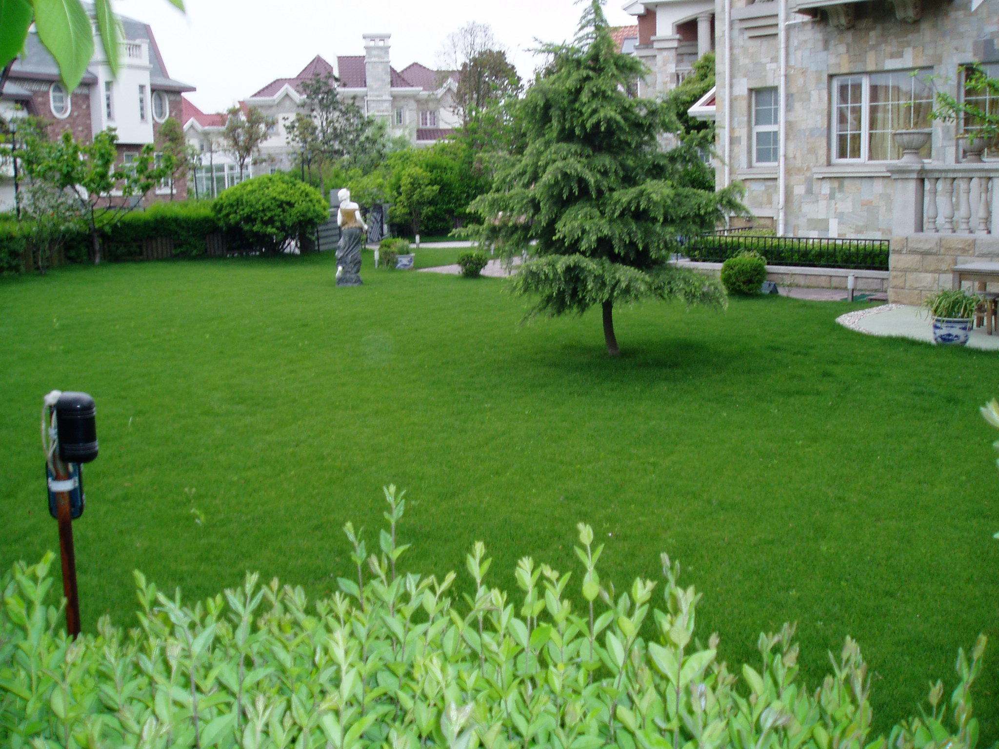 sports turf