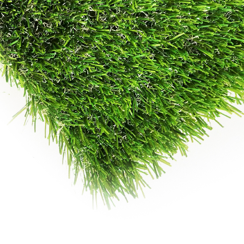 Leisure grass