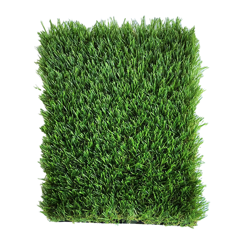 Leisure grass
