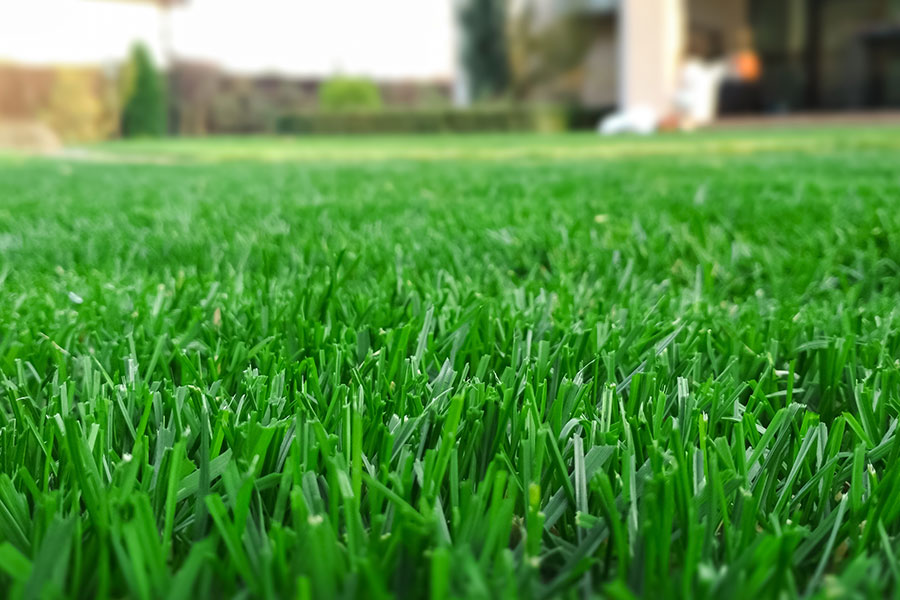 football artificial turf