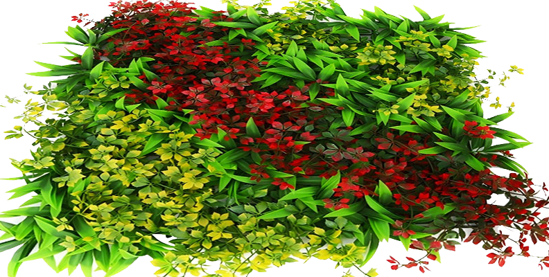 Green Wall Panels GWC223