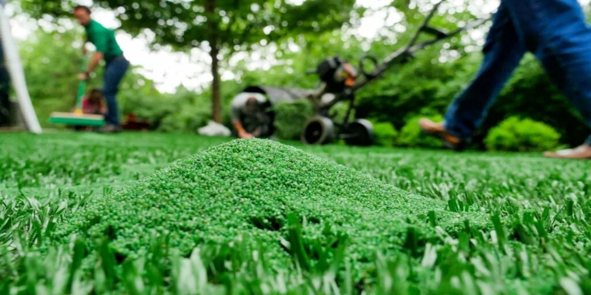 football grass