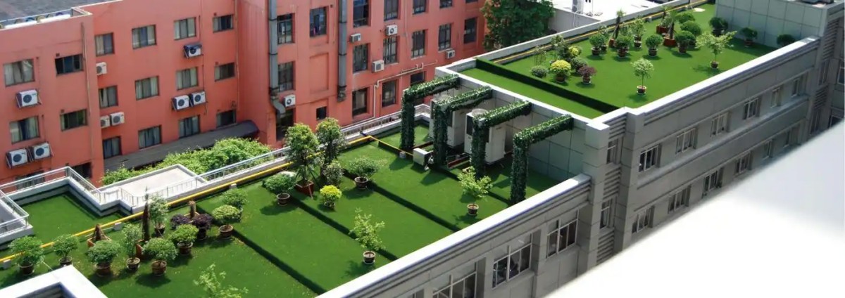 roof grass.jpg