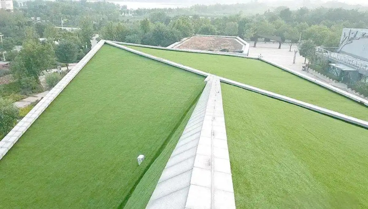landscaping grass.jpg