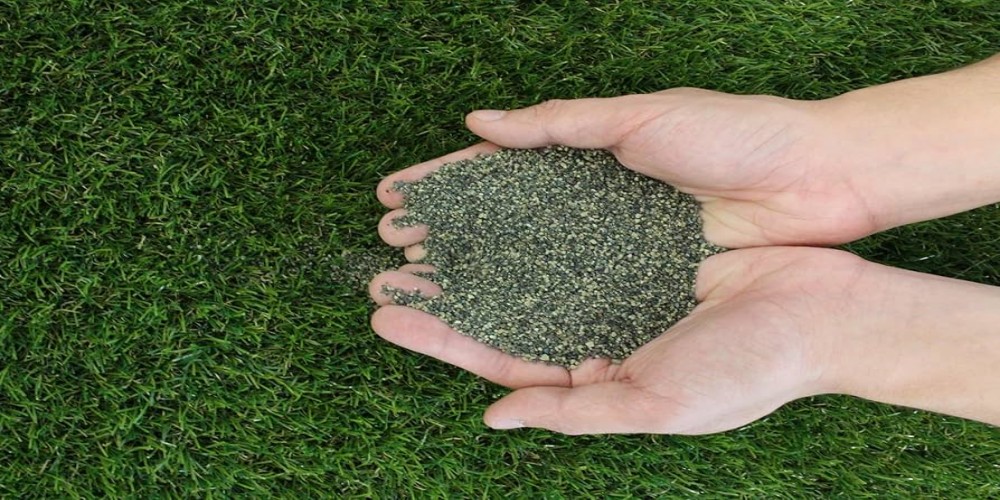 football grass