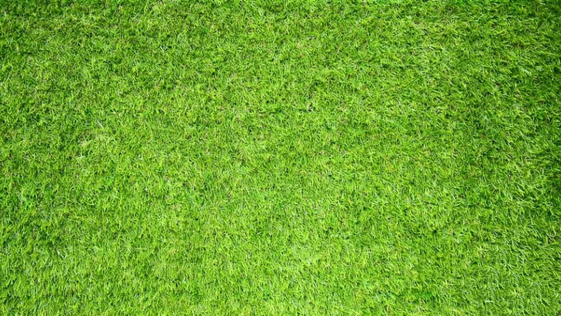 Artificial grass