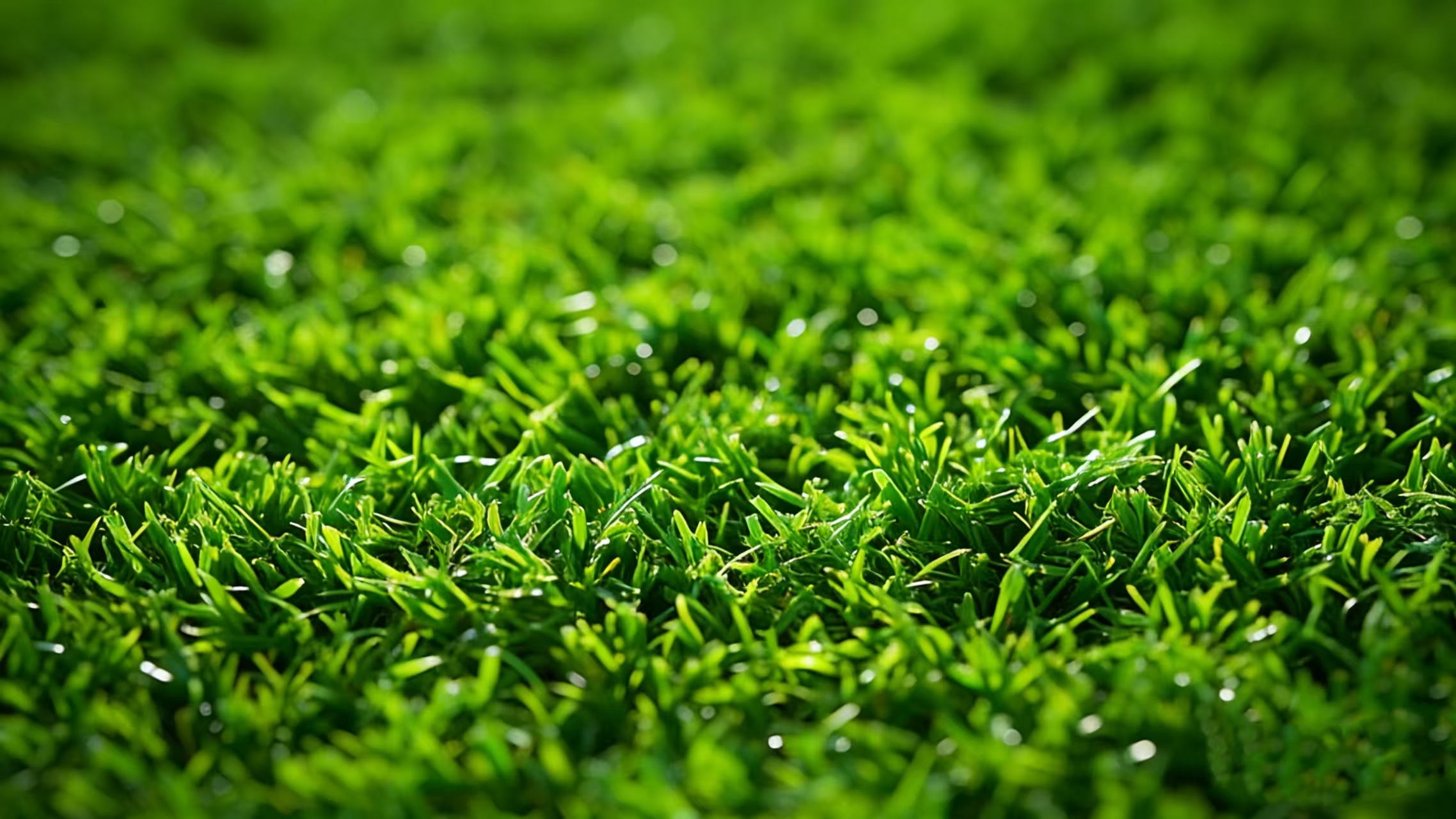 Artificial grass