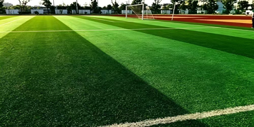 Artificial Grass
