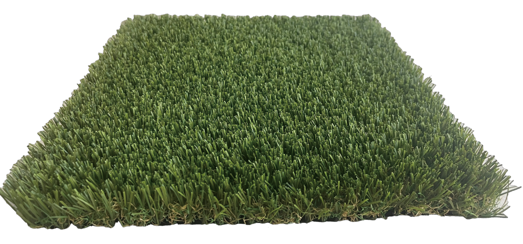 Pet Grass
