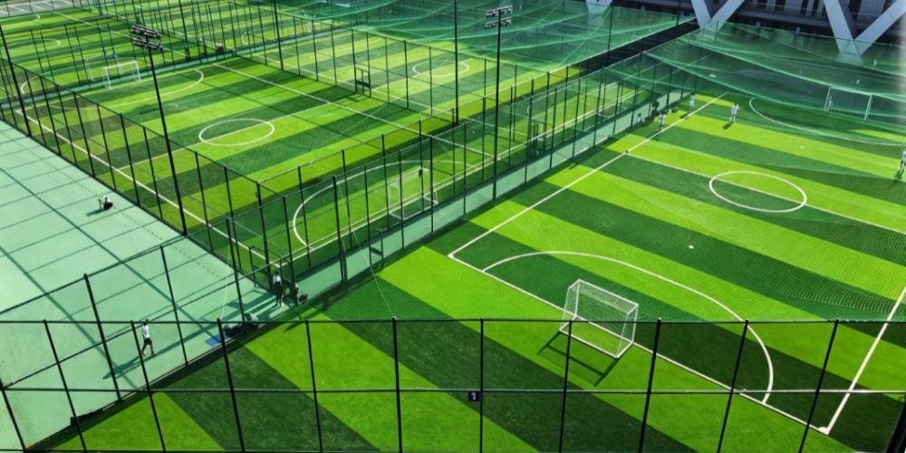 soccer grass 