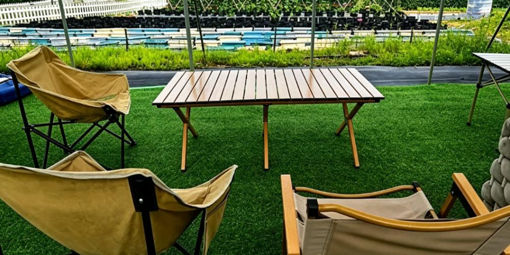 Landscape turf