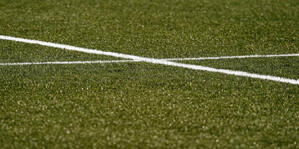 Aritificial grass