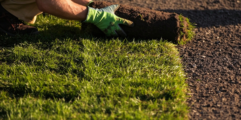 aritificial turf
